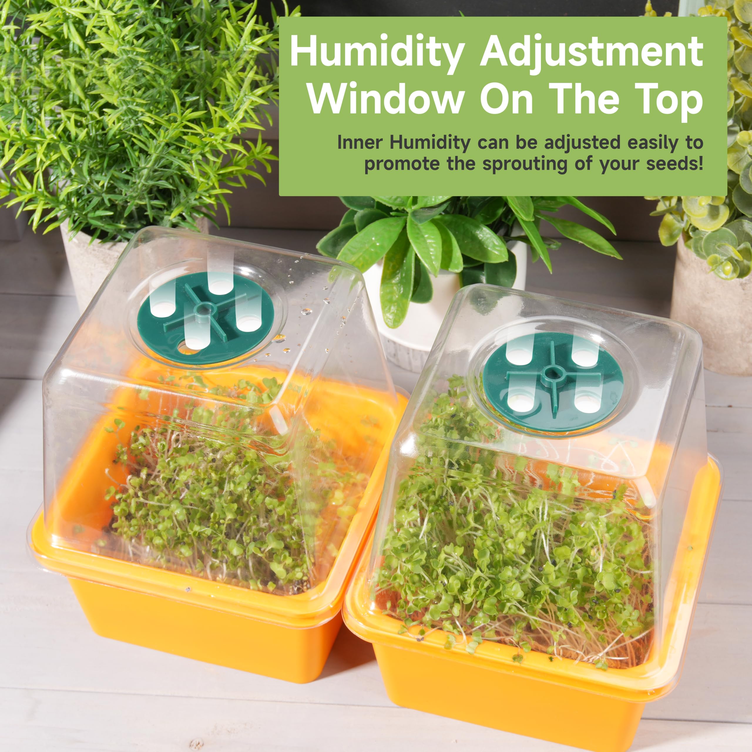 LUVCOSY sprouter-kit-4pack offers a complete setup for seeds