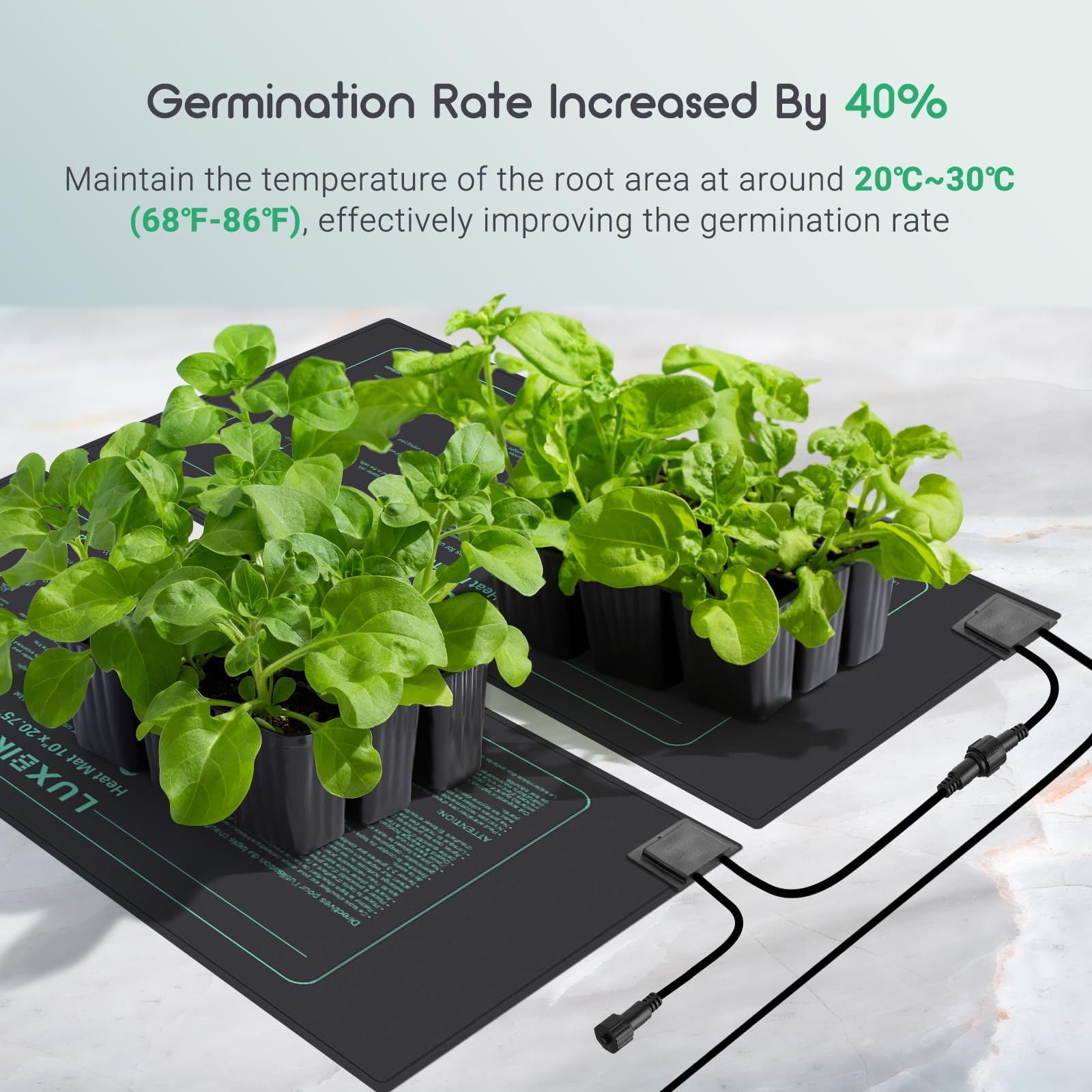 Luxbird four-pack seedling mats laid under trays deliver even heat for uniform sprouting.