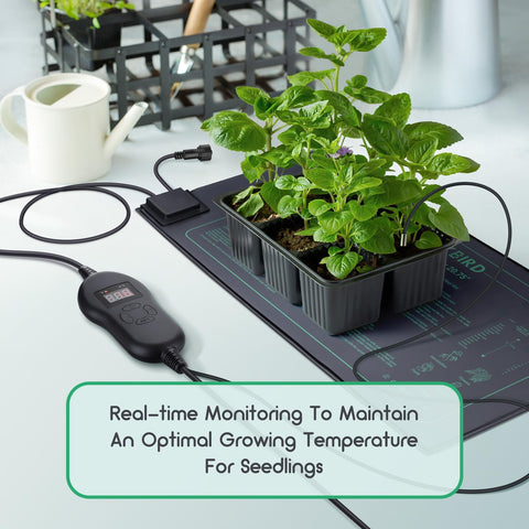 Luxbird seedling heat mats boosting germination and early root development in an indoor garden.