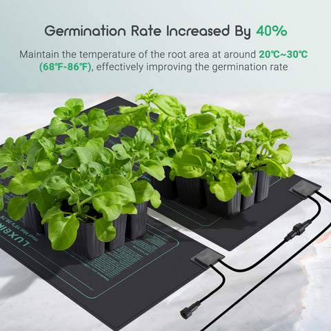 Luxbird six-pack seedling mats arranged for compact indoor growing.
