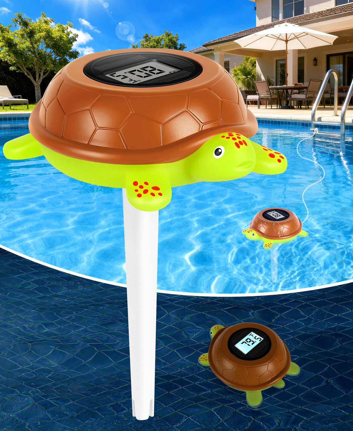 LuxBlue turtle solar floating thermometer shows pool temperature at a glance