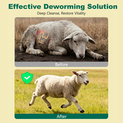 Luxekem dewormer poultry liquid drench demonstrates versatile use for birds.