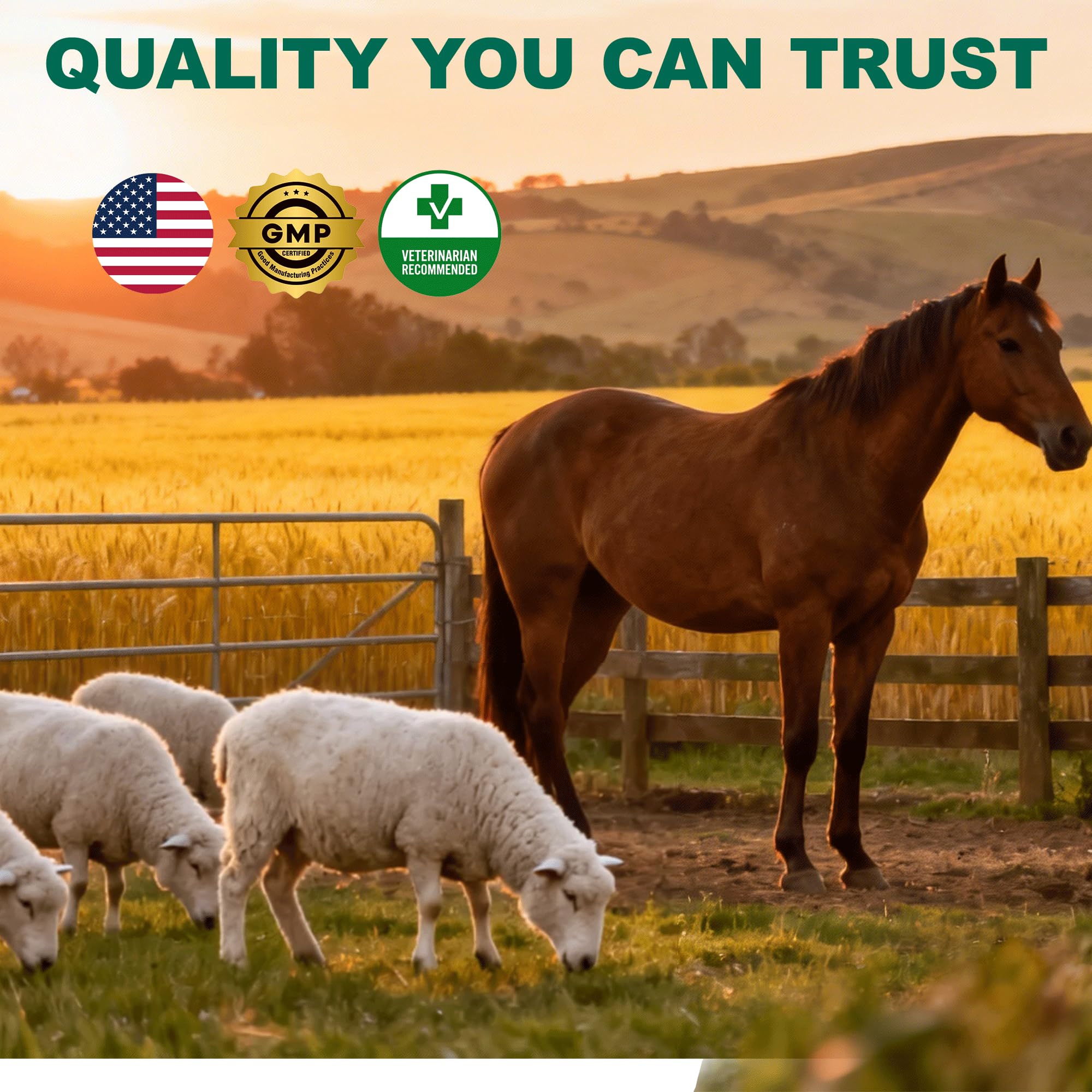 Luxekem dewormer suspension is ready-to-use for convenient routine care.