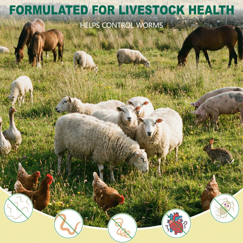 Luxekem dewormer bottle-dosing close-up shows precise measurement for sheep.
