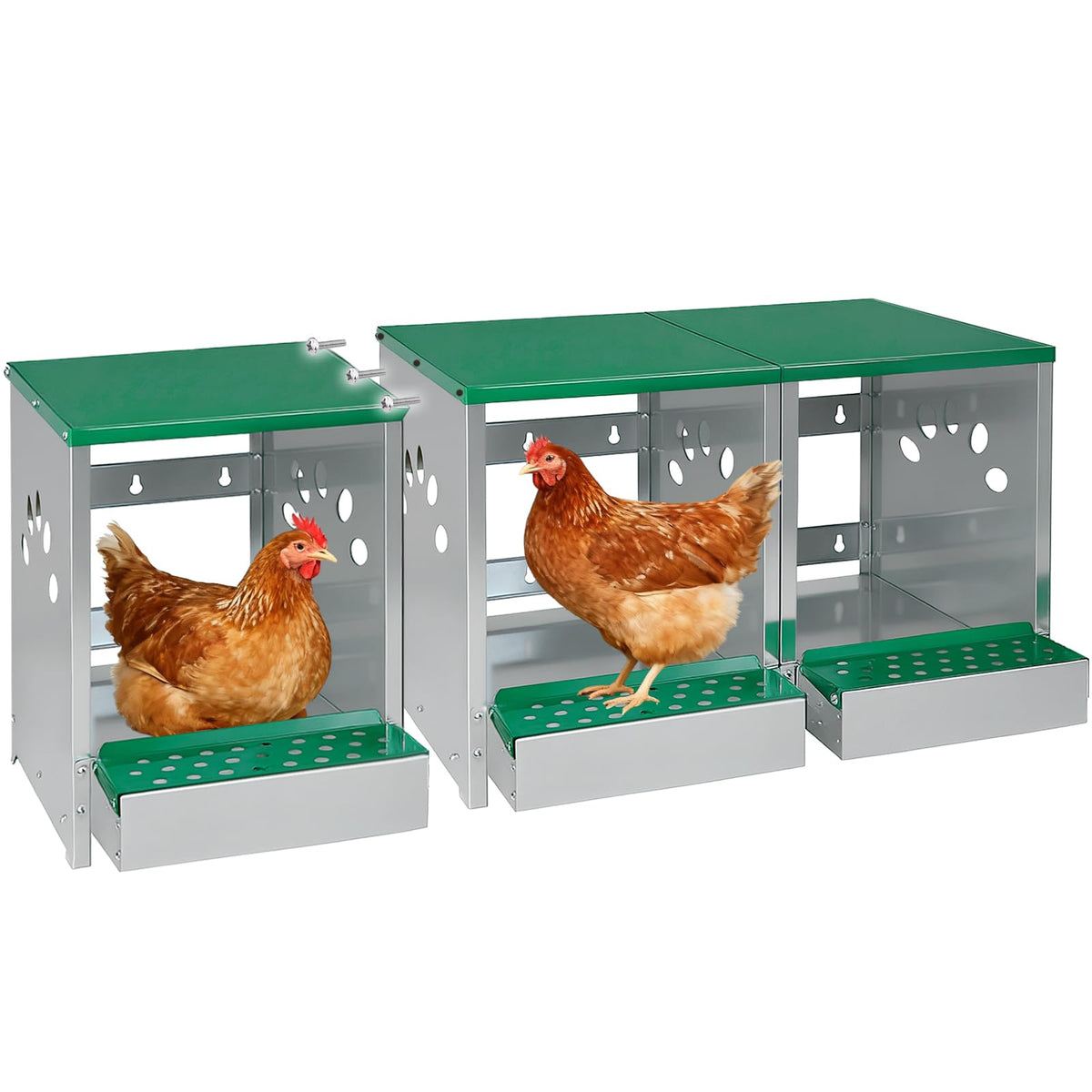 Luxurytex chicken nesting box with three compartments for wall-mount installation