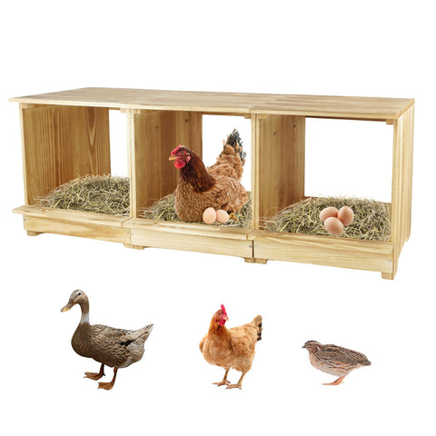 Luxurytex Nesting Box with three compartments for organized egg laying