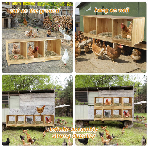 Luxurytex Nesting Box with perches and baffles to protect eggs