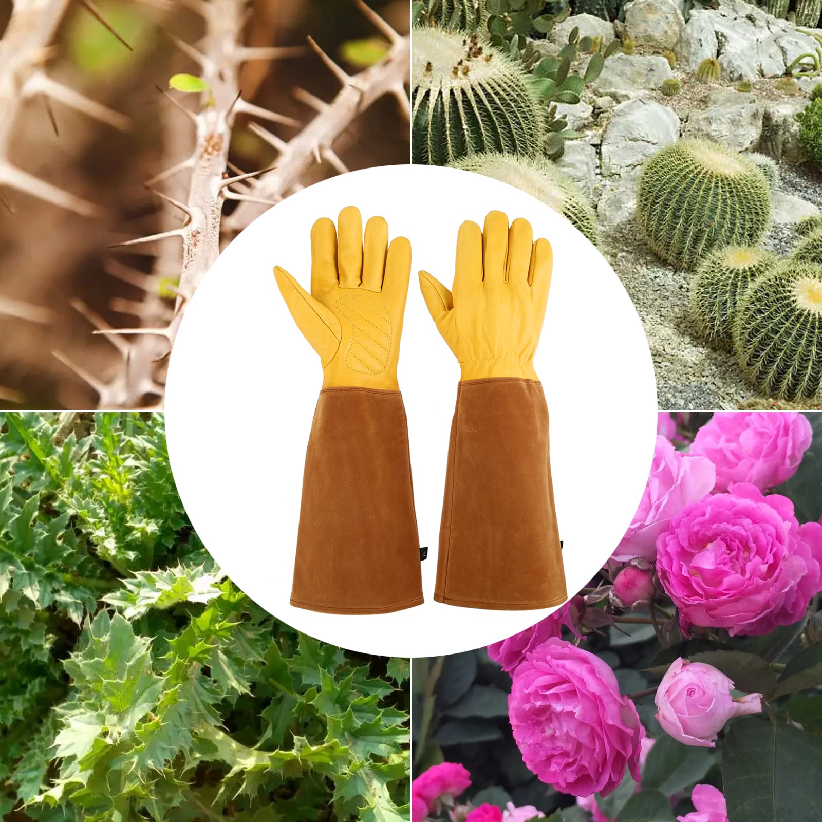 LUZAYA thorn-proof gloves ideal for pruning roses and cacti.