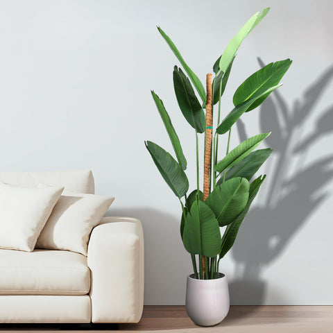 LveSunny suitable for indoor and outdoor climbing plants.