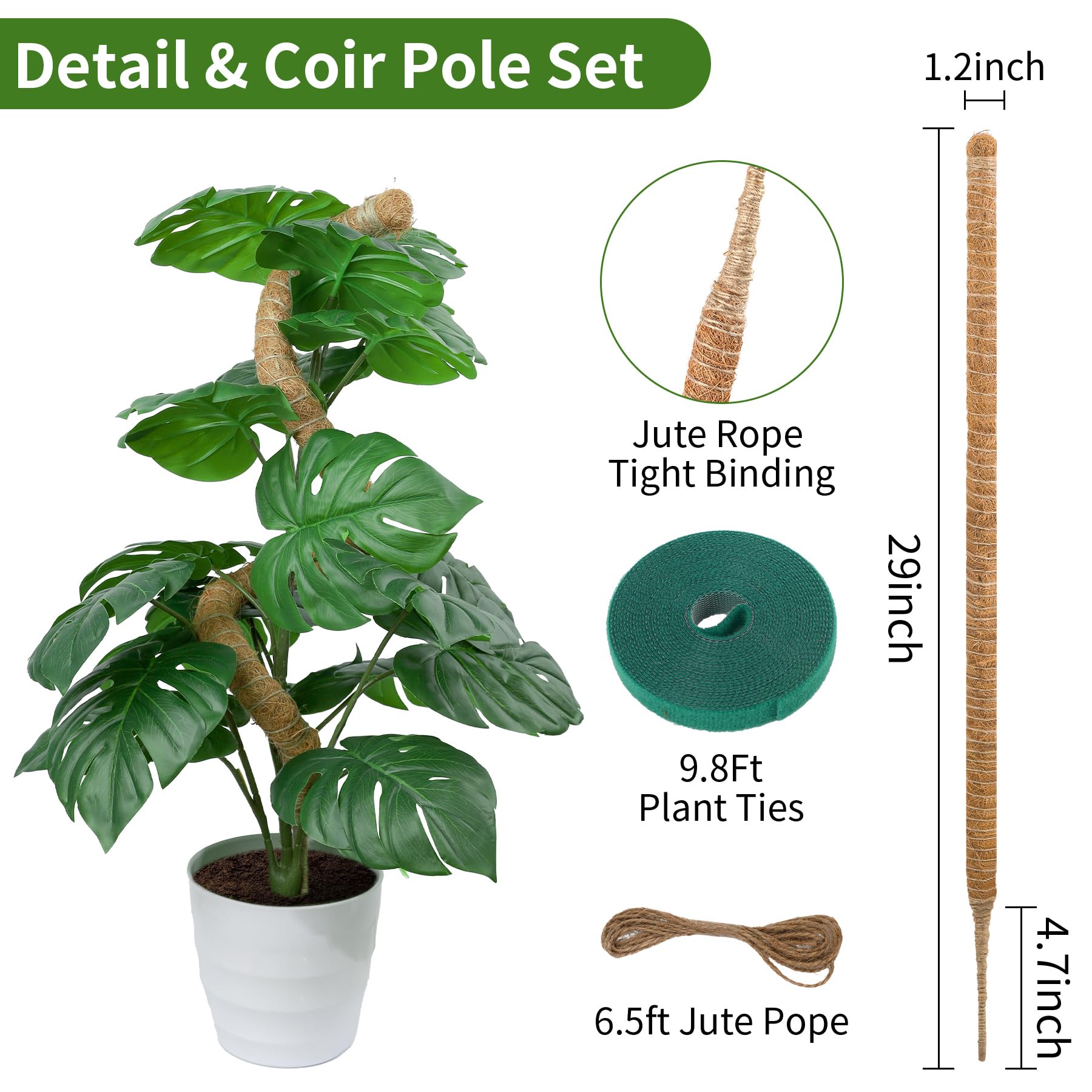 LveSunny moss pole monstera support in use promotes vertical growth.