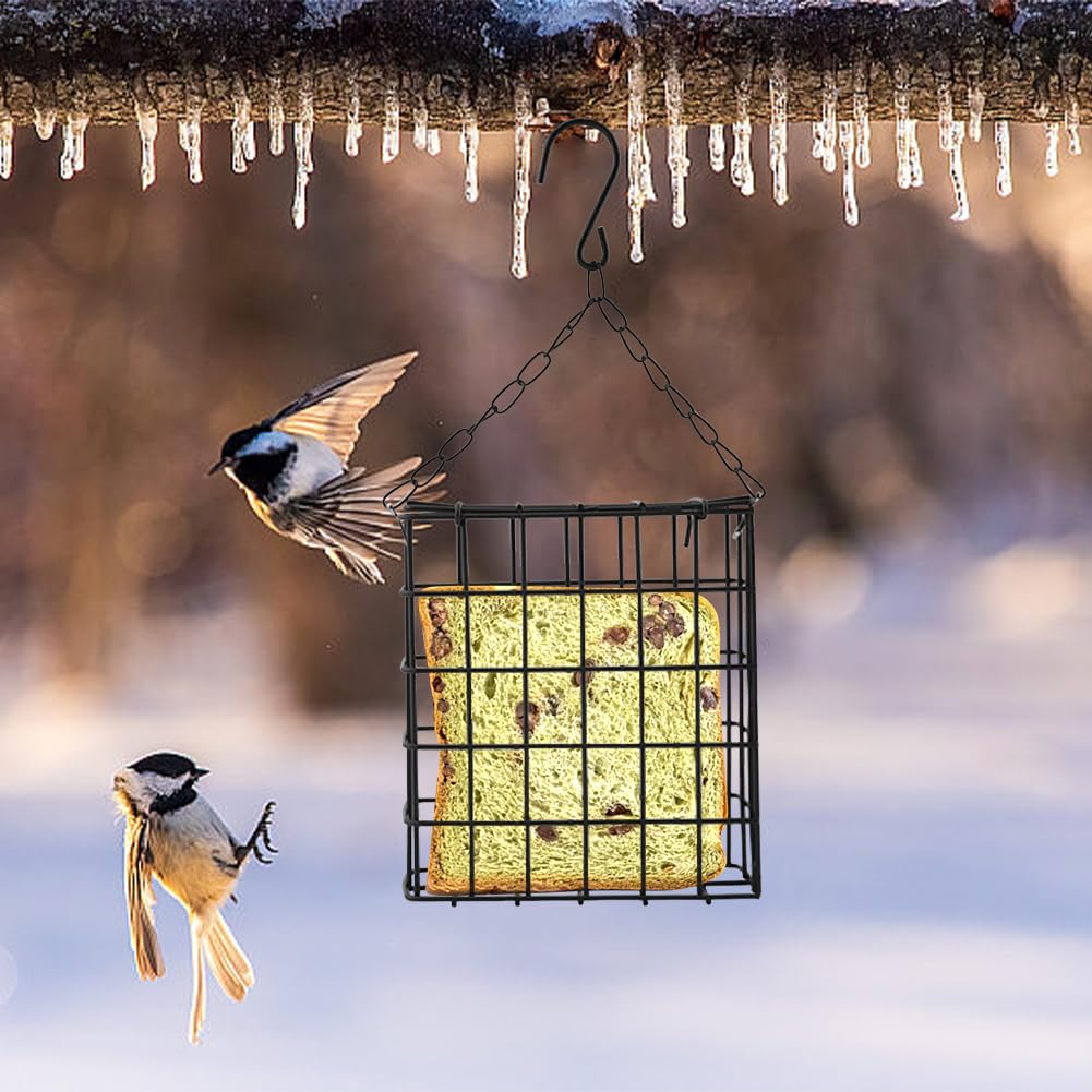 LVOERTUIG backyard bird sanctuary setup for year-round visits.