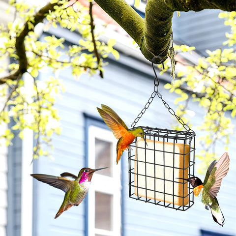 LVOERTUIG suet cake capacity keeps birds nourished during seasonal meals.