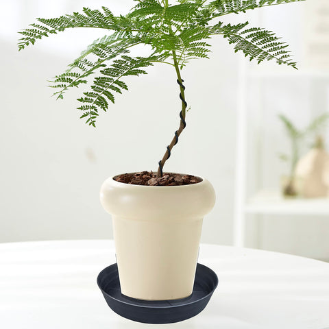LWALRS 4-pack keeps plant areas clean and organized