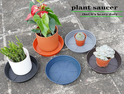 lwalrs 8-inch saucers ready for shelf display and packaging