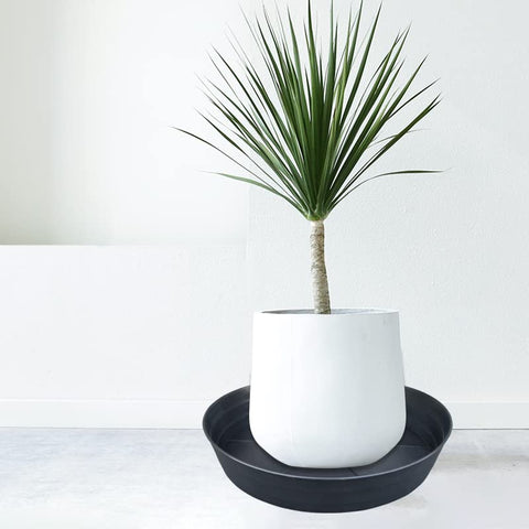 LWALRS compatible with 12–14 inch pots for versatility