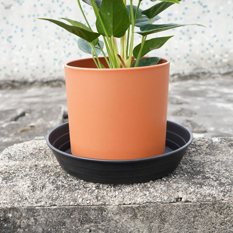 LWALRS durable plastic saucers keep pots stable.