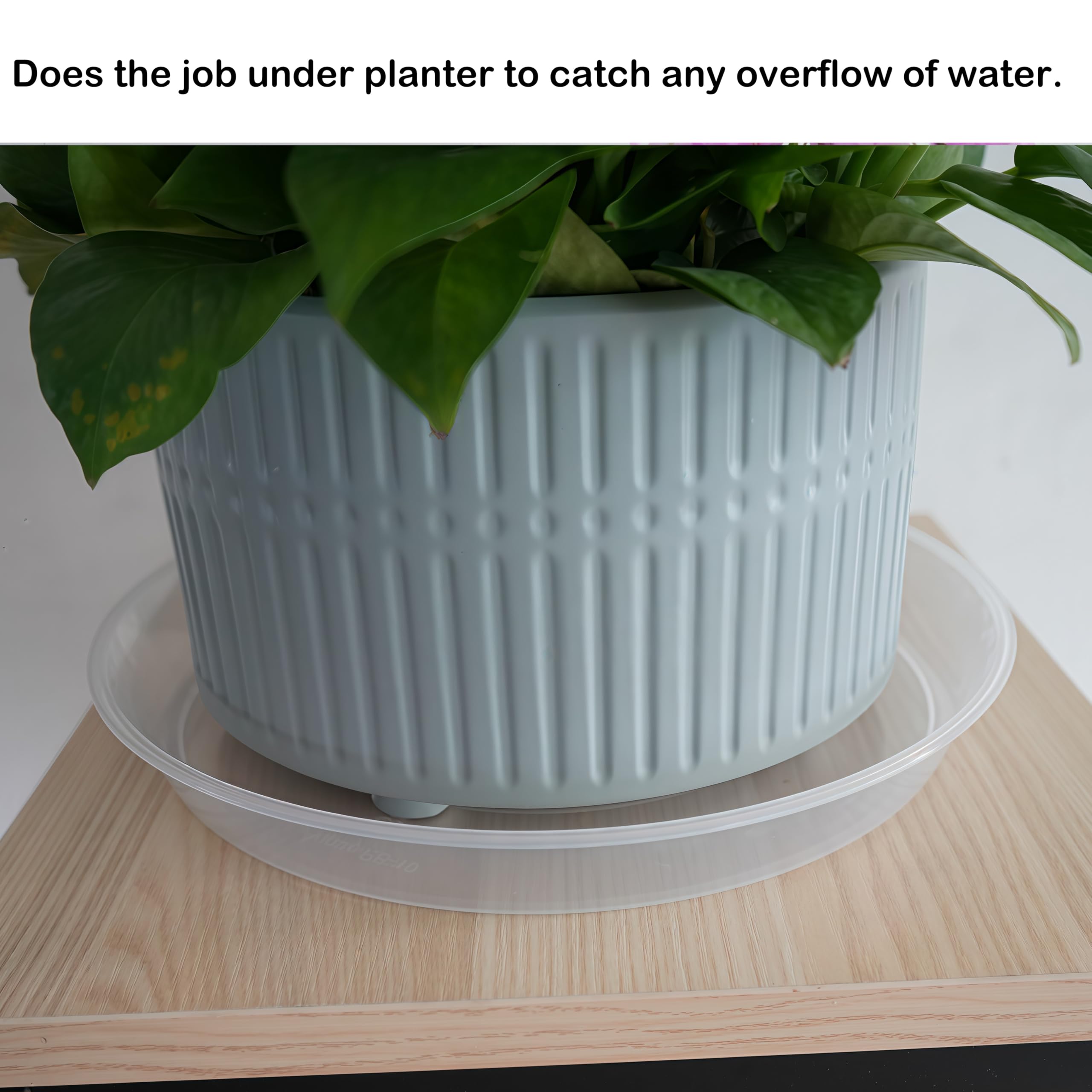 LWALRS clear drip tray keeps plant area clean and organized