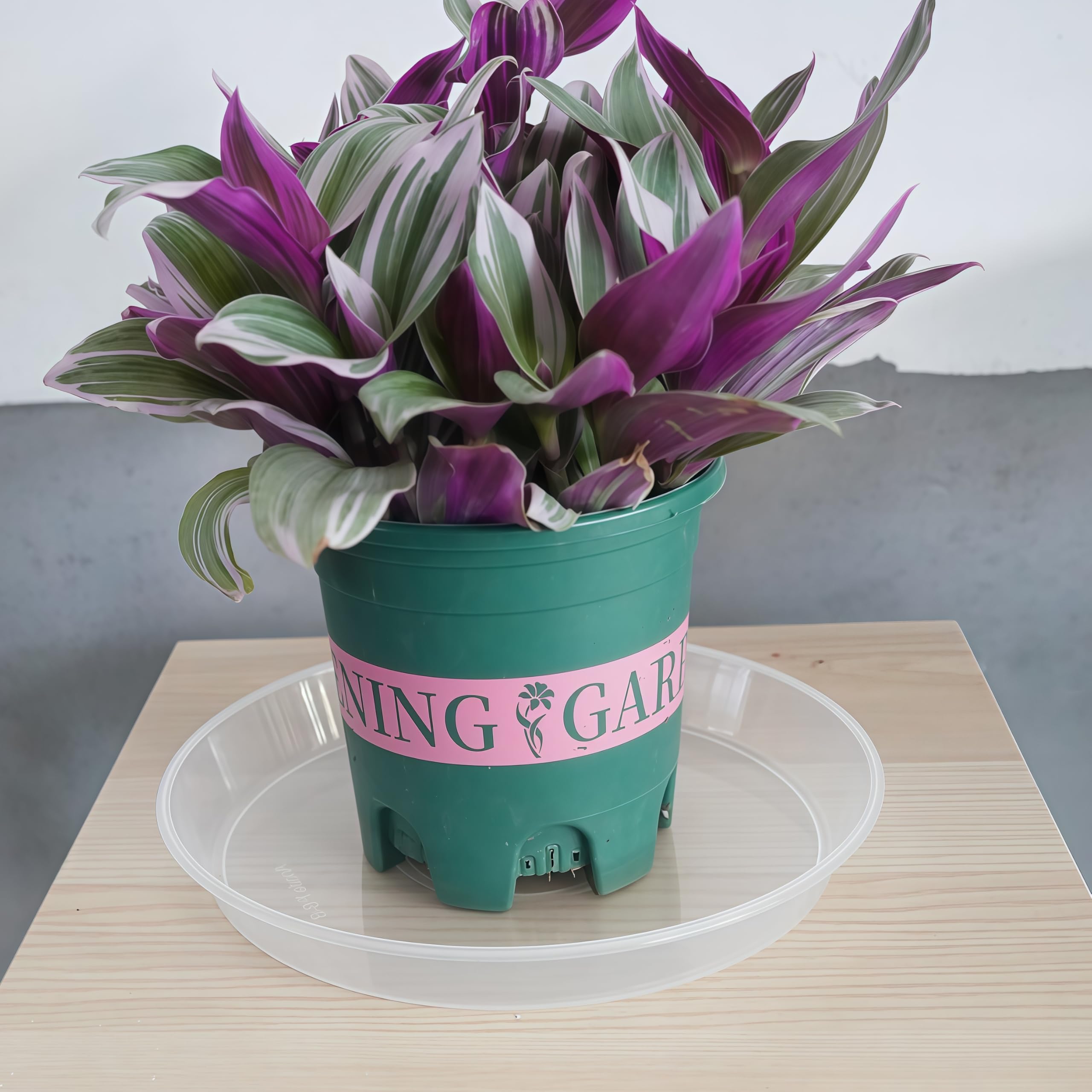 LWALRS plant saucer made from durable PP plastic for long-lasting trays
