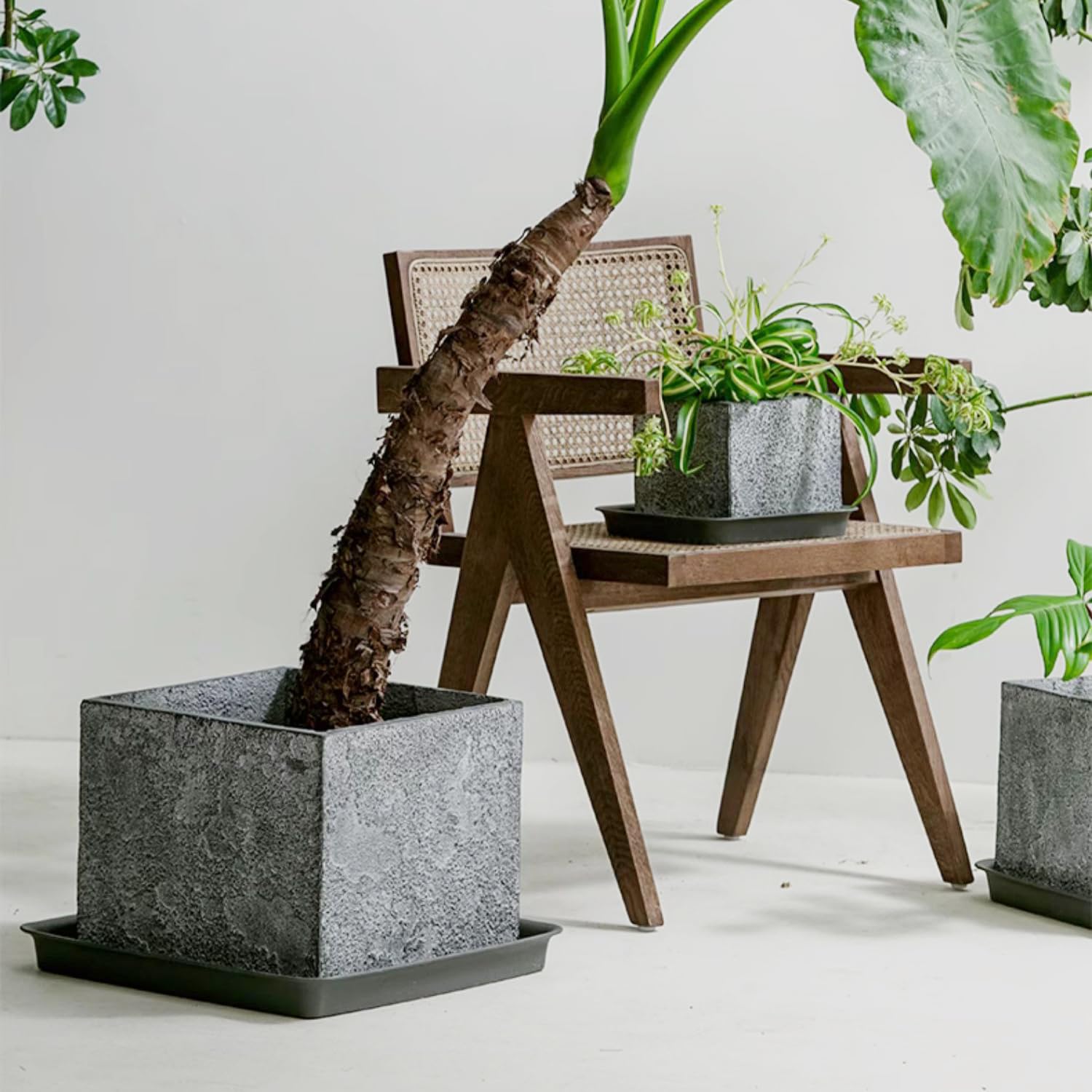 LWALRS Square Plant Saucer indoor outdoor use; versatile for patios, balconies, and windowsills