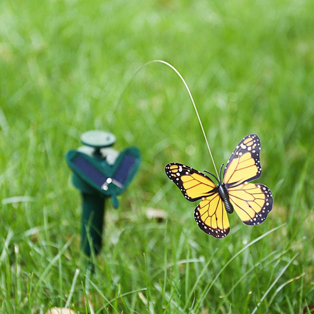 LWINGFLYER vibrant butterfly variations enhancing garden color and life