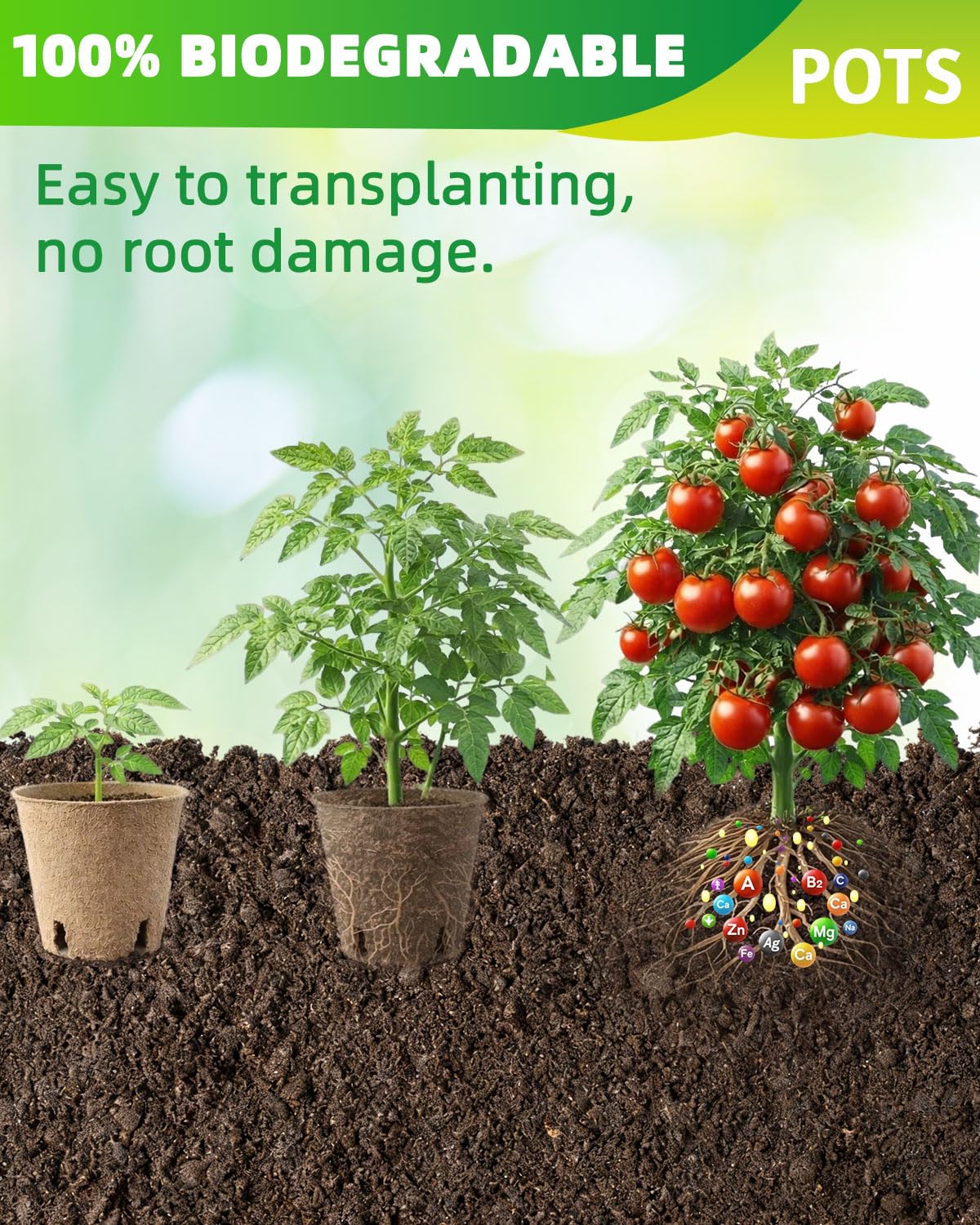LWWTBS biodegradable seed starter pots made from recycled pulp and plant fibers.