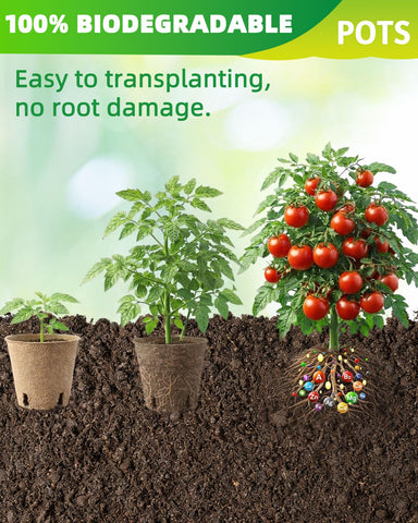 LWWTBS biodegradable seed starter pots made from recycled pulp and plant fibers.