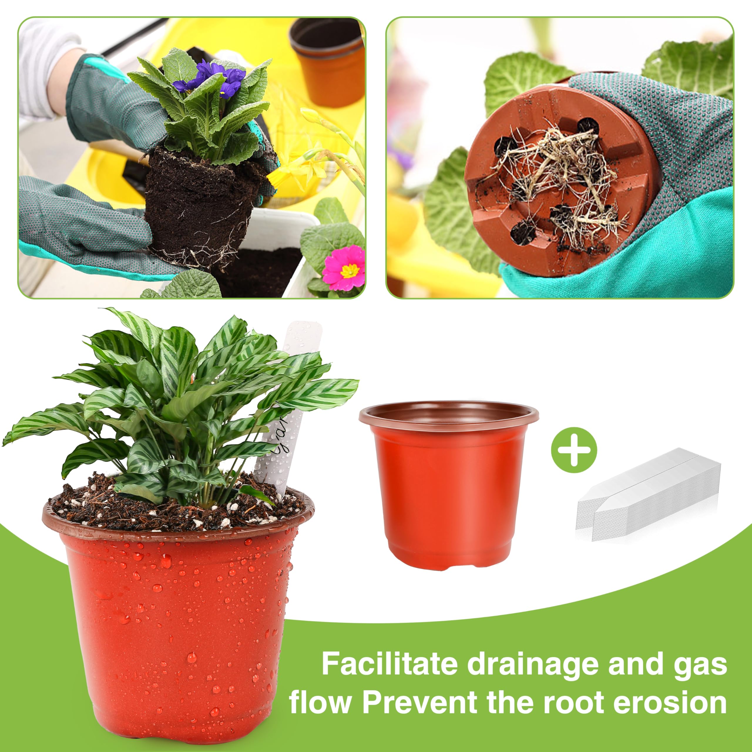 LWWTBS nursery pots show eight drainage holes for airflow and health.