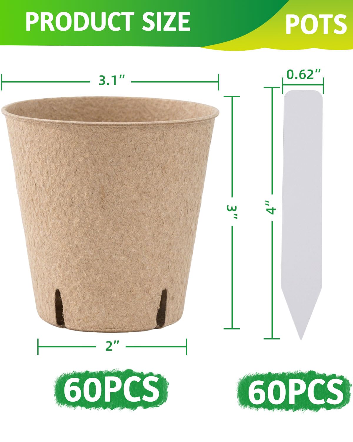LWWTBS peat pots showing 3-15 inch top opening for robust seedlings.
