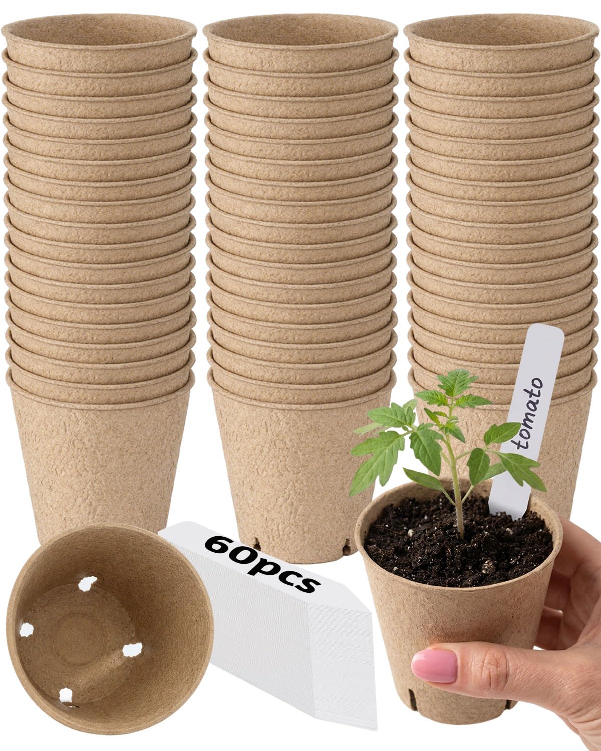 LWWTBS peat pots seedling starter with labels for easy plant identification.