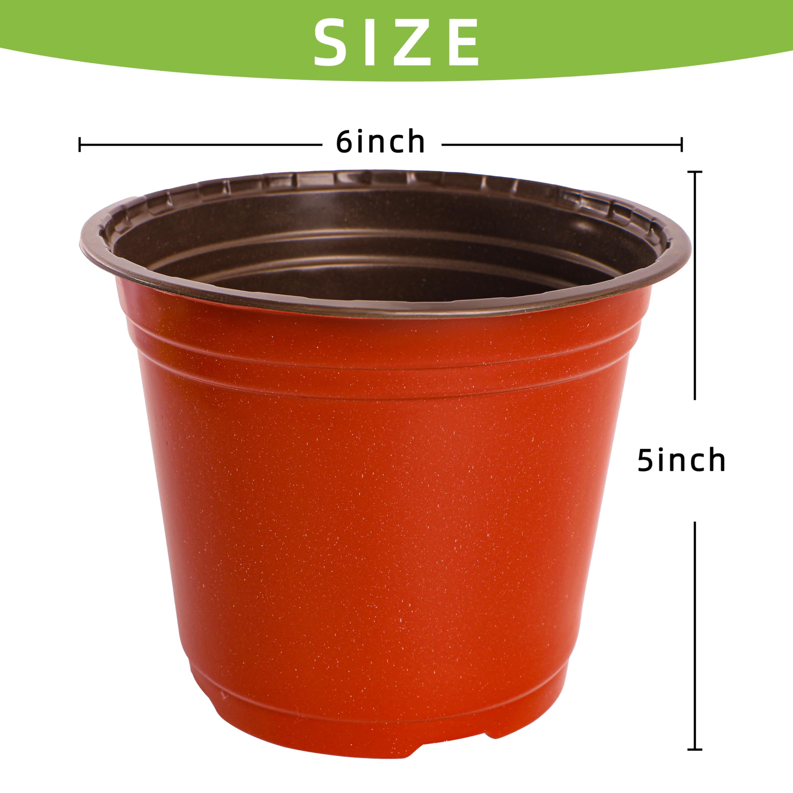 LWWTBS pot bottom diameter 4 inches supports even drainage for roots.