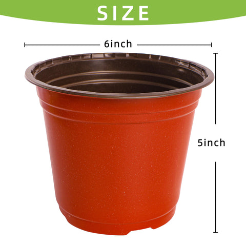 LWWTBS pot bottom diameter 4 inches supports even drainage for roots.