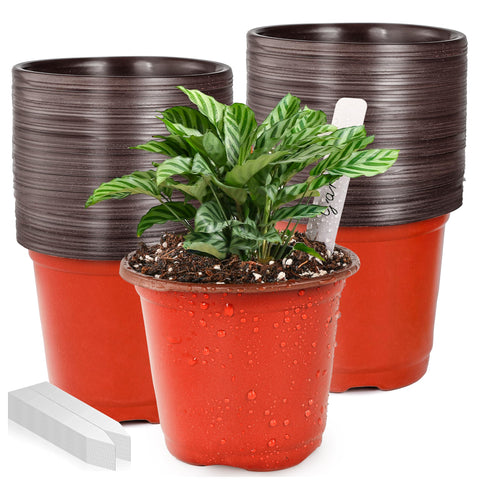 LWWTBS 4-inch plastic plant pot ready for seedling growth and transplanting.