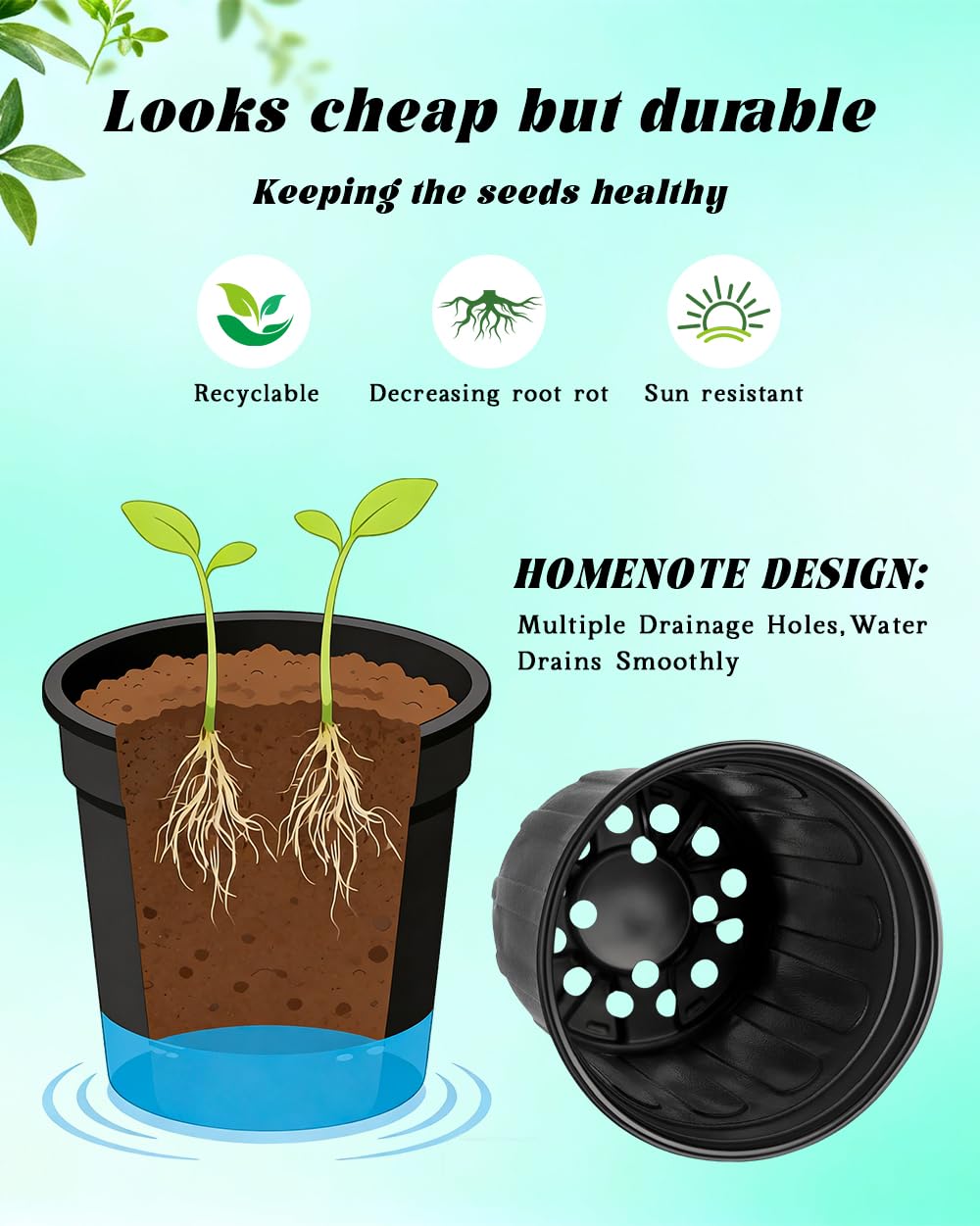 LWWTBS transplant-friendly pots reducing root disturbance