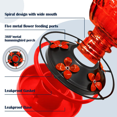 LXliangxin glass hummingbirds feeder ant-moat keeps insects away while birds feed