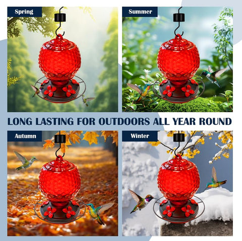 LXliangxin glass hummingbirds feeder gift option for garden lovers and bird enthusiasts