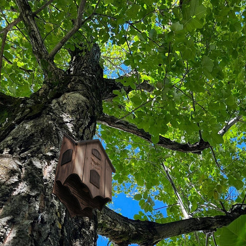 Lxnavihly bat house outdoor shelter supports ecological garden balance