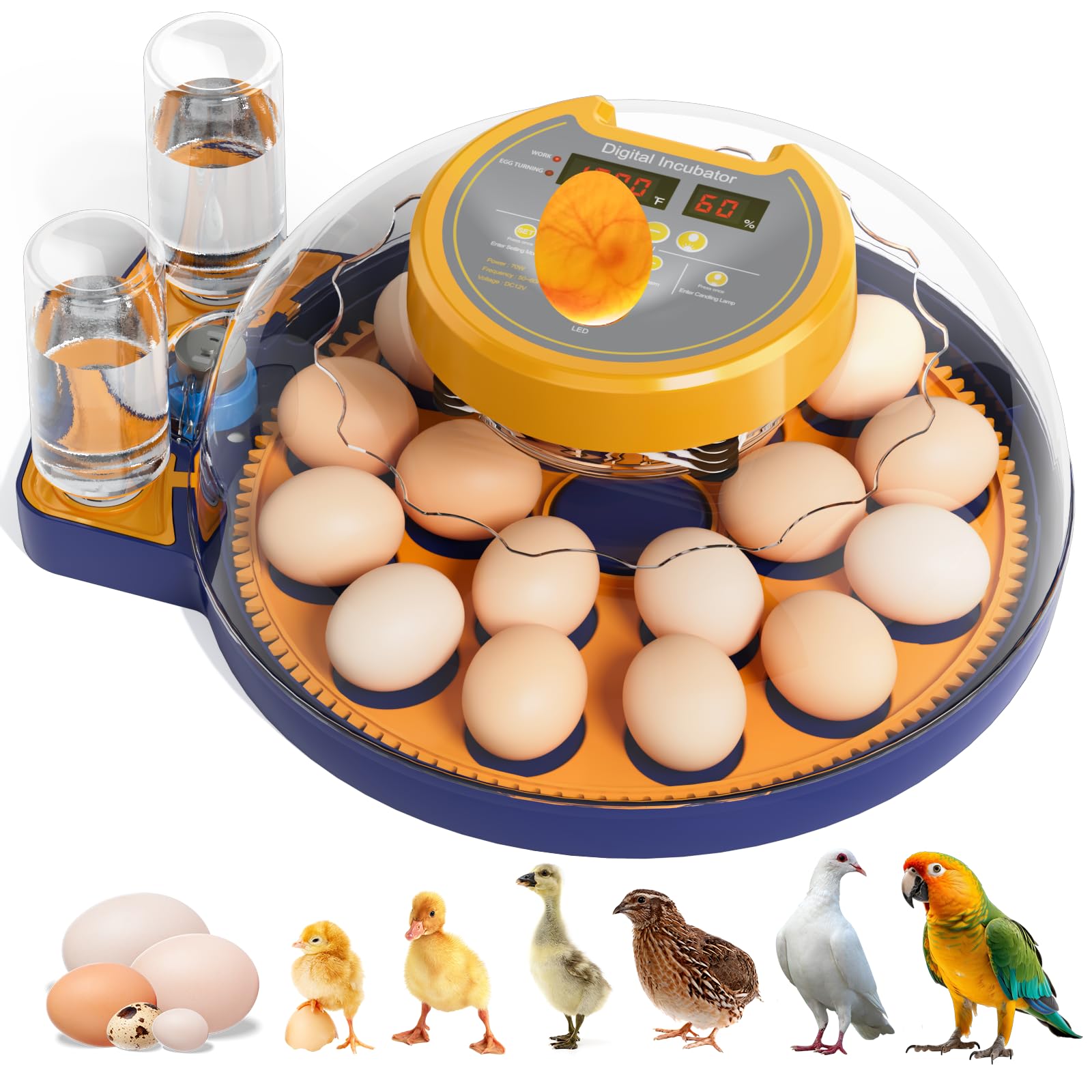 LXZNCD 18-egg incubator front-angle view for compact home use.