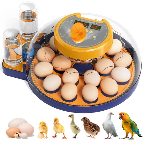 LXZNCD 18-egg incubator front-angle view for compact home use.