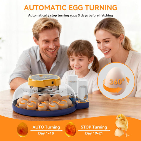 LXZNCD built-in egg candler for quick fertility checks.