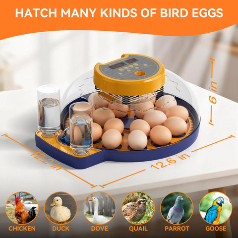LXZNCD home and school setup shown for STEM poultry projects.