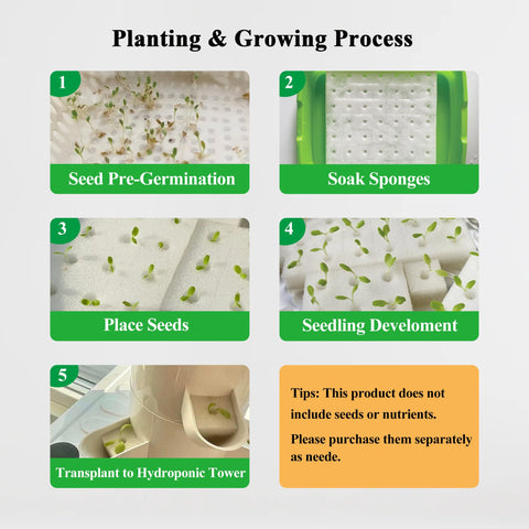LYCereal BPA free food grade plastics ensure safe durable construction