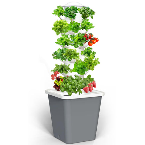 LYCereal hydroponics tower assembly shows quick, mess-free setup for indoor gardening