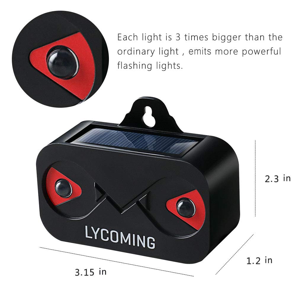 Automatic dusk to dawn flashing for energy efficient deterrence