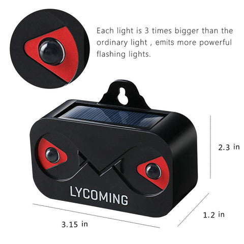 Automatic dusk to dawn flashing for energy efficient deterrence