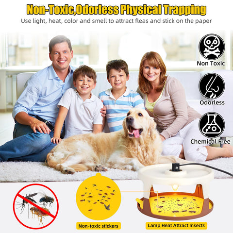 Lycxbfjia flea trap with glow bulbs highlights long-lasting attraction