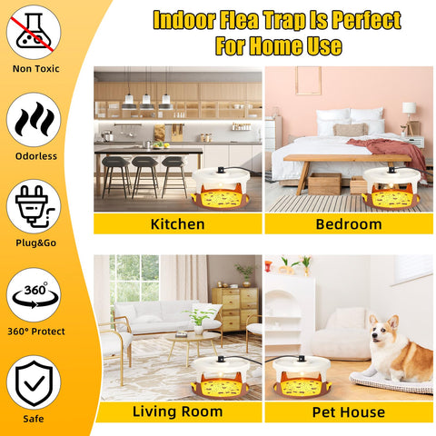 Lycxbfjia indoor flea trap in living room captures pests with sticky accuracy