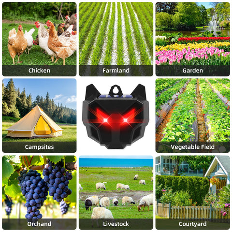 Lycxbfjia predator eyes 4-pack offers affordable, humane wildlife deterrence.