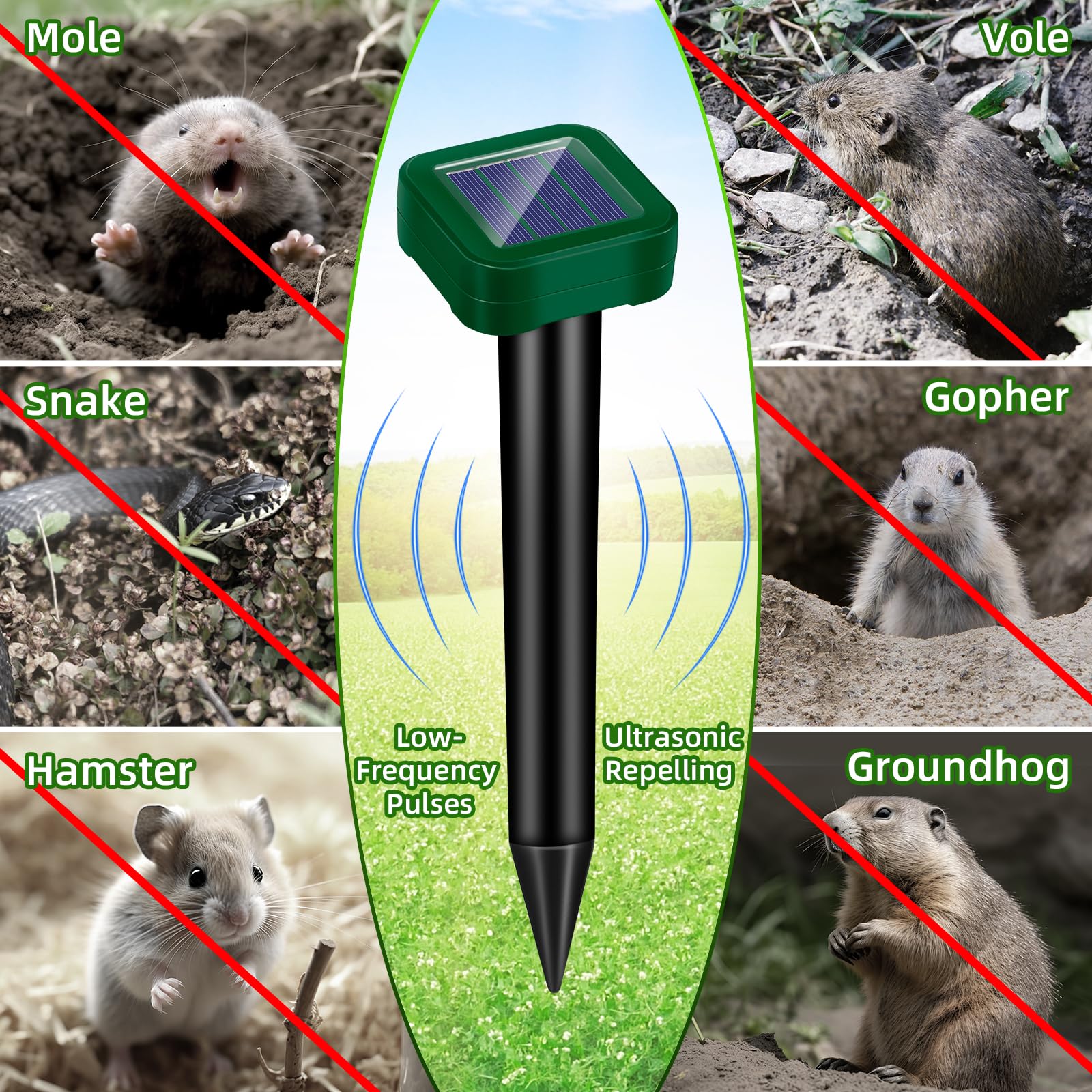 Lycxbfjia ultrasonic pulse beneath soil casts deterrent waves against pests.