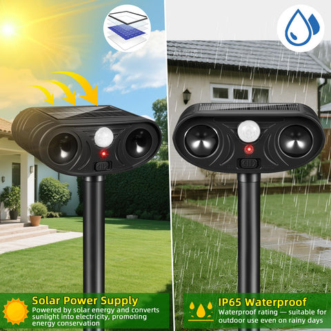 Lycxbfjia yard stake installation reduces animal intrusion around plants.