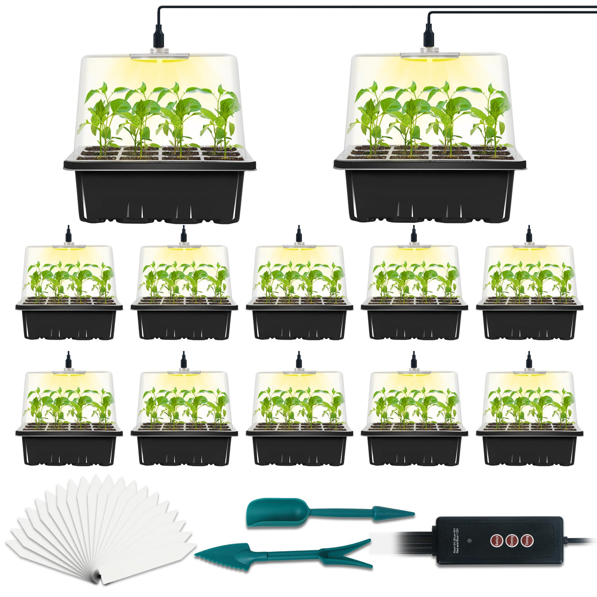 LYDTICK seed starter tray with grow light supports indoor germination and steady growth.